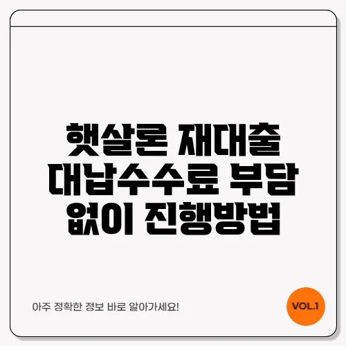 햇살론 재대출 대납수수료 부담 없이 진행방법