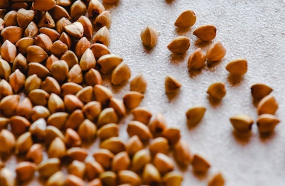 메밀차의 효능 보관법