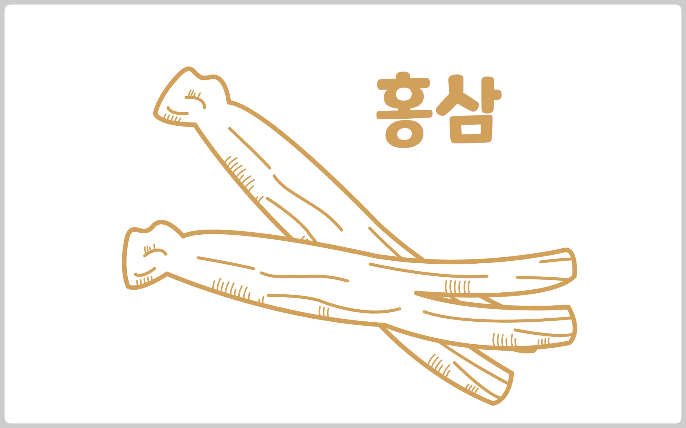 홍삼 썸네일