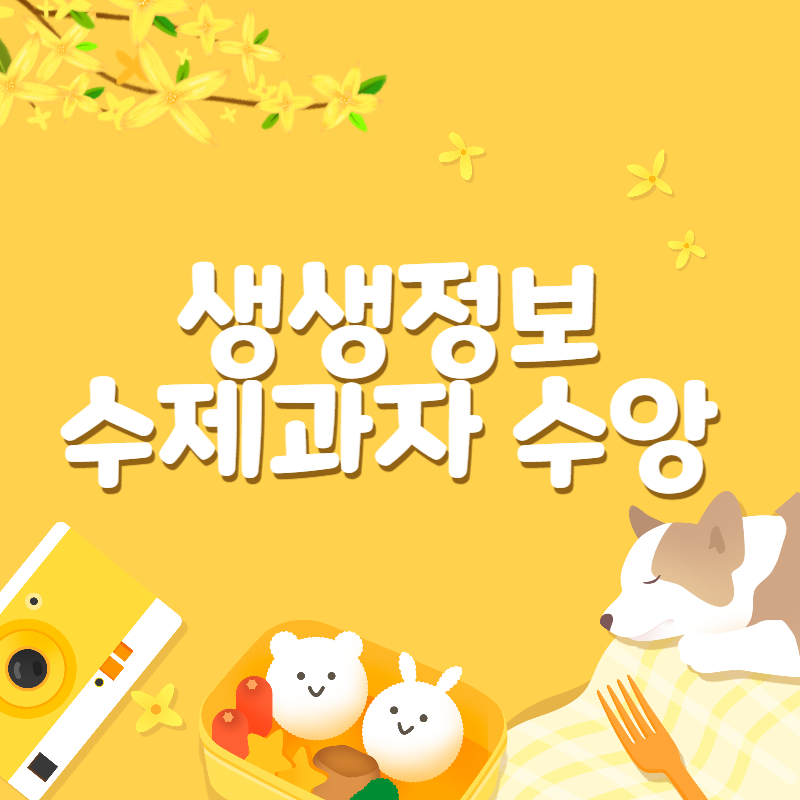 생생정보 수제과자1