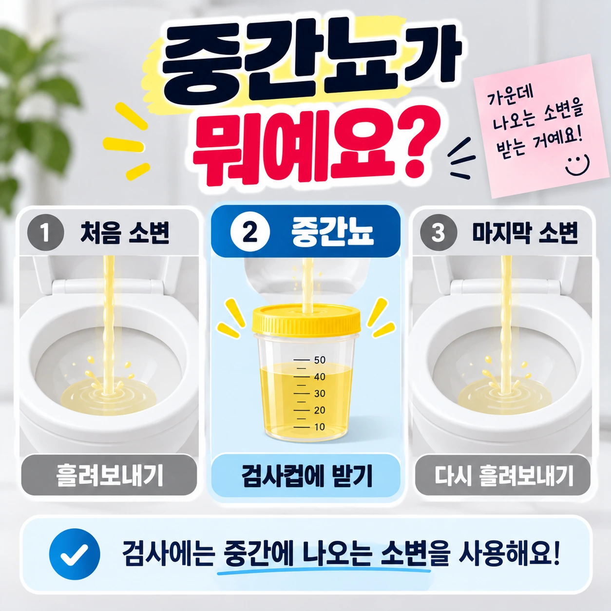 소변검사_중간뇨_뜻