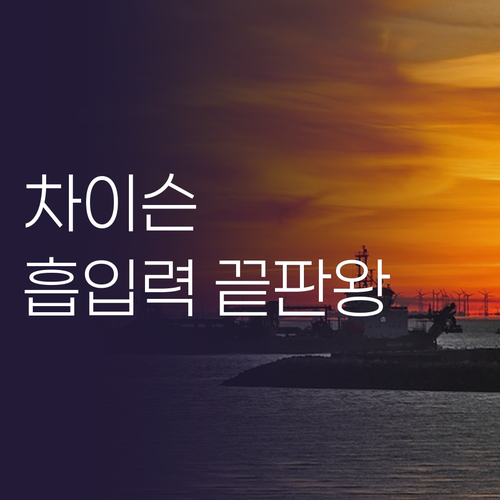 가성비 끝판왕 차이슨 무선 청소기, ..