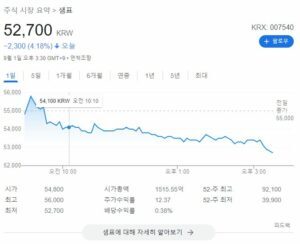 틱톡 관련주 사진