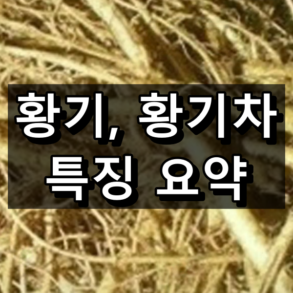 황기 효능 부작용 및 황기차 끓이는 방법 대표 이미지
