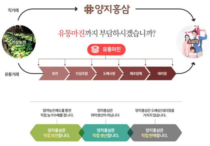 양지 홍삼 유통 구조