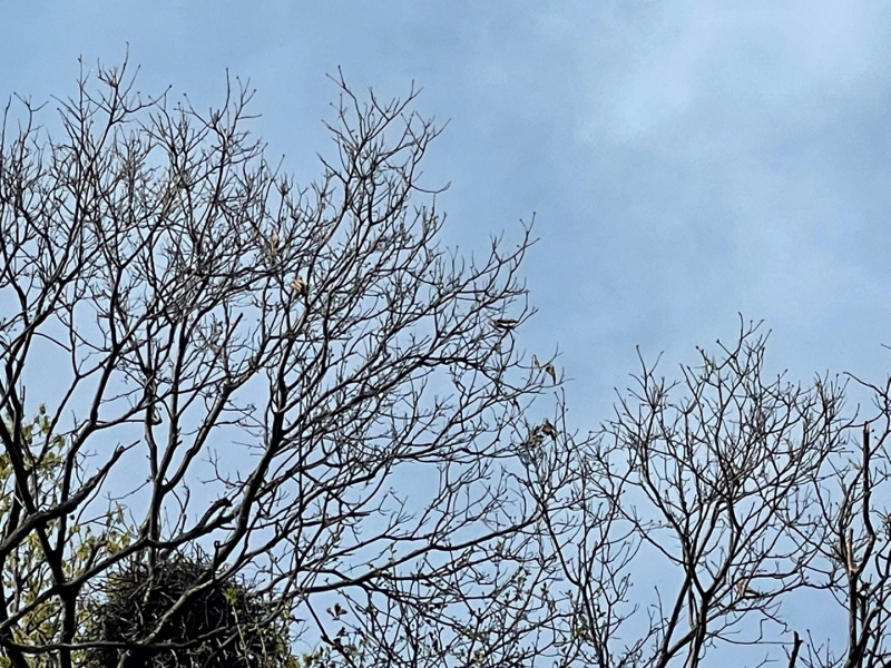 ์ฐ์ด๋ ๋ง์ง