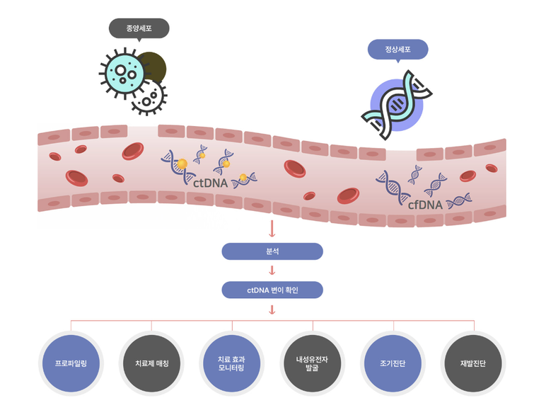 아이엠비디엑스 공모주 청약하기