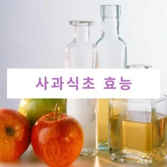 사과식초 효능_20