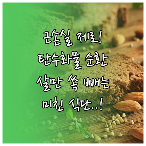 근손실 방지하며 살 빼는 탄수화물 순..
