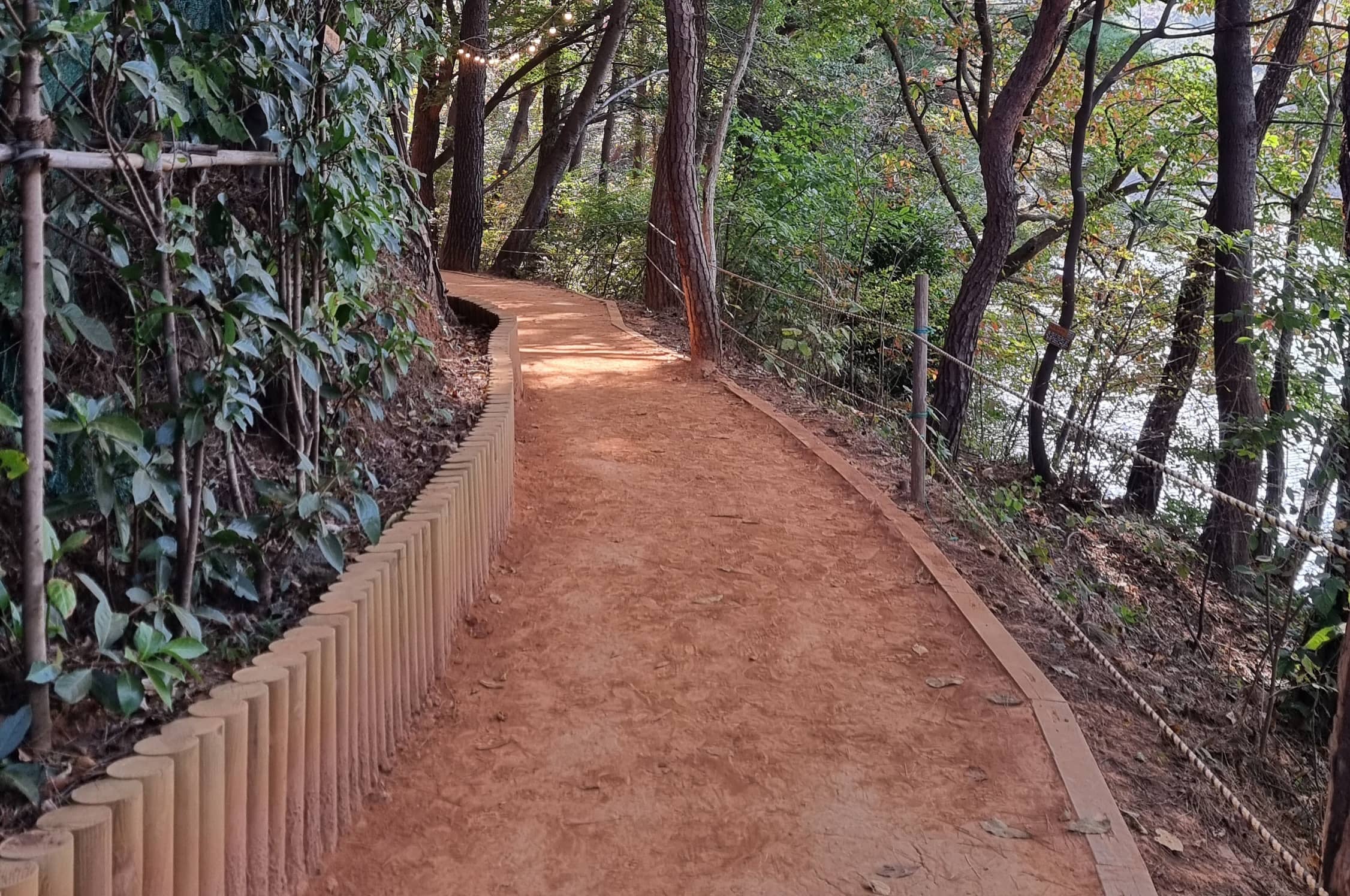맨발 걷기가 내 몸 건강에 중요한 이유