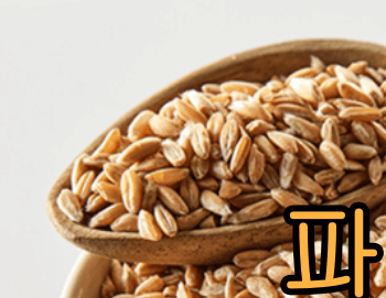 혈당_GI지수_낮은_ 쌀