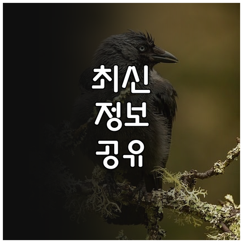 2025 사립학교 교직원 조위금 누가..