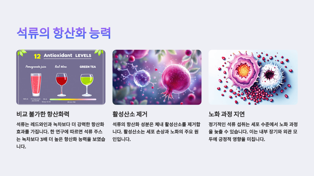 석류의 항산화 능력