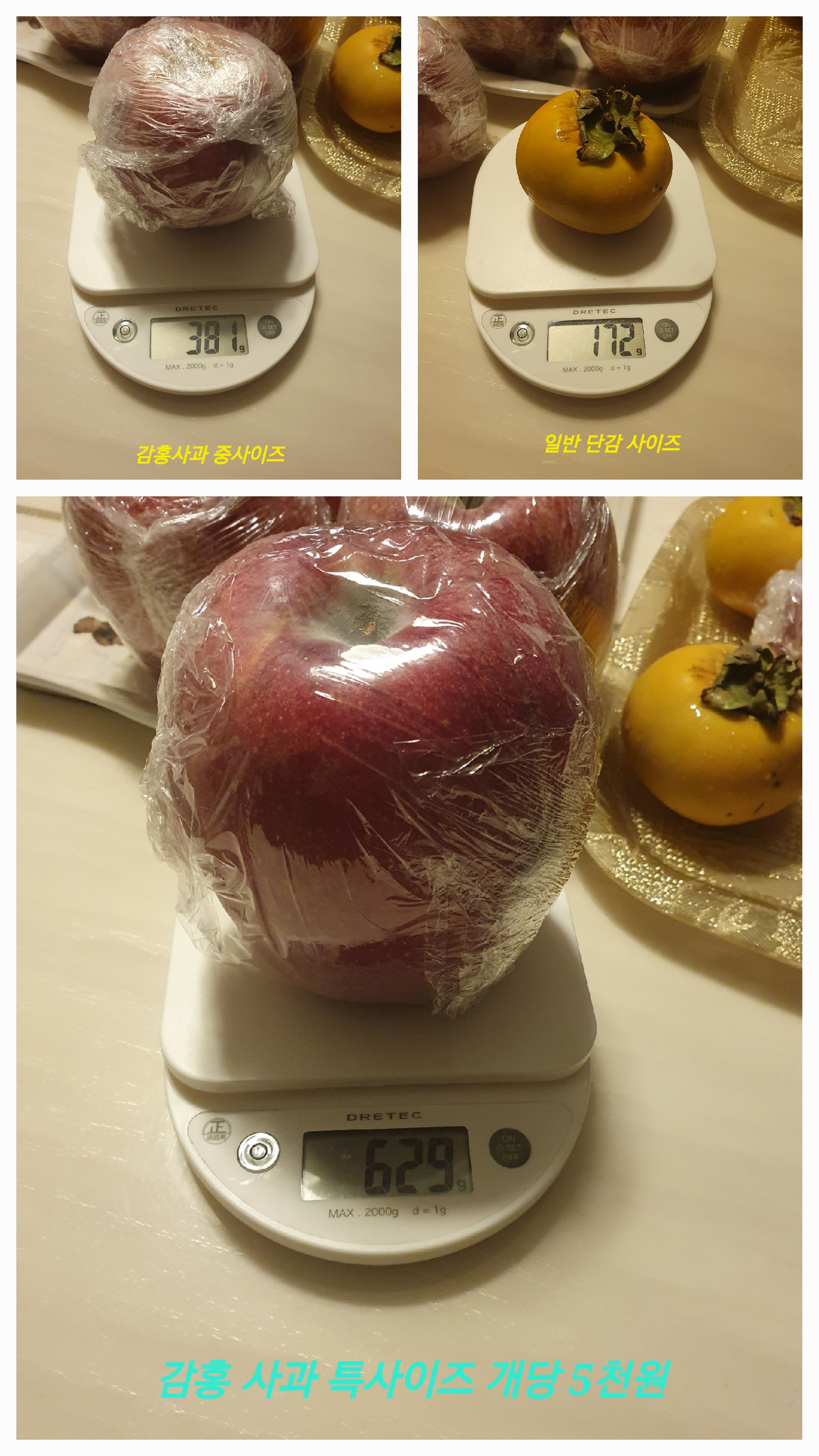 감홍 사이즈 무게 재어보기!