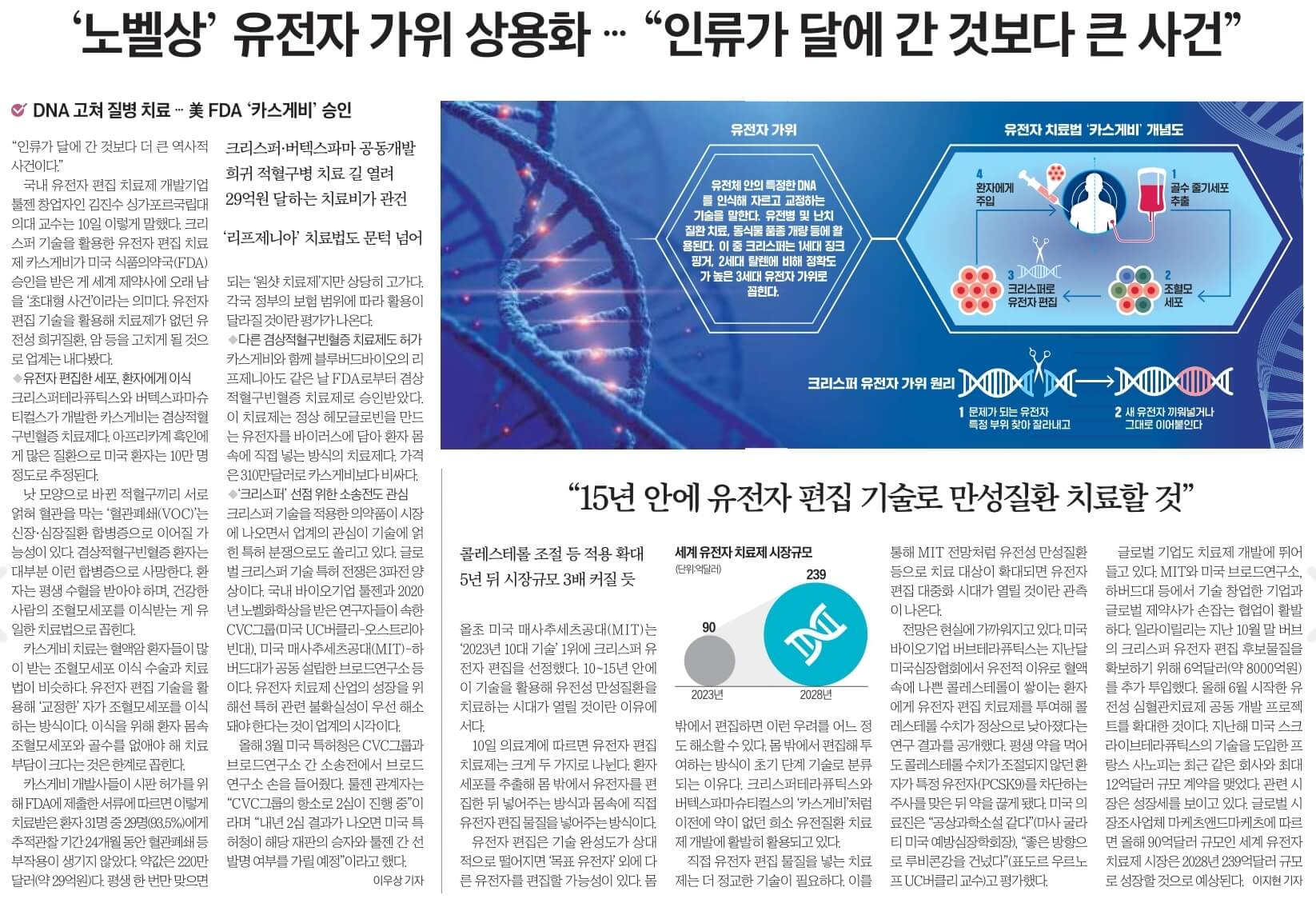 12월 11일 월 신문스크랩