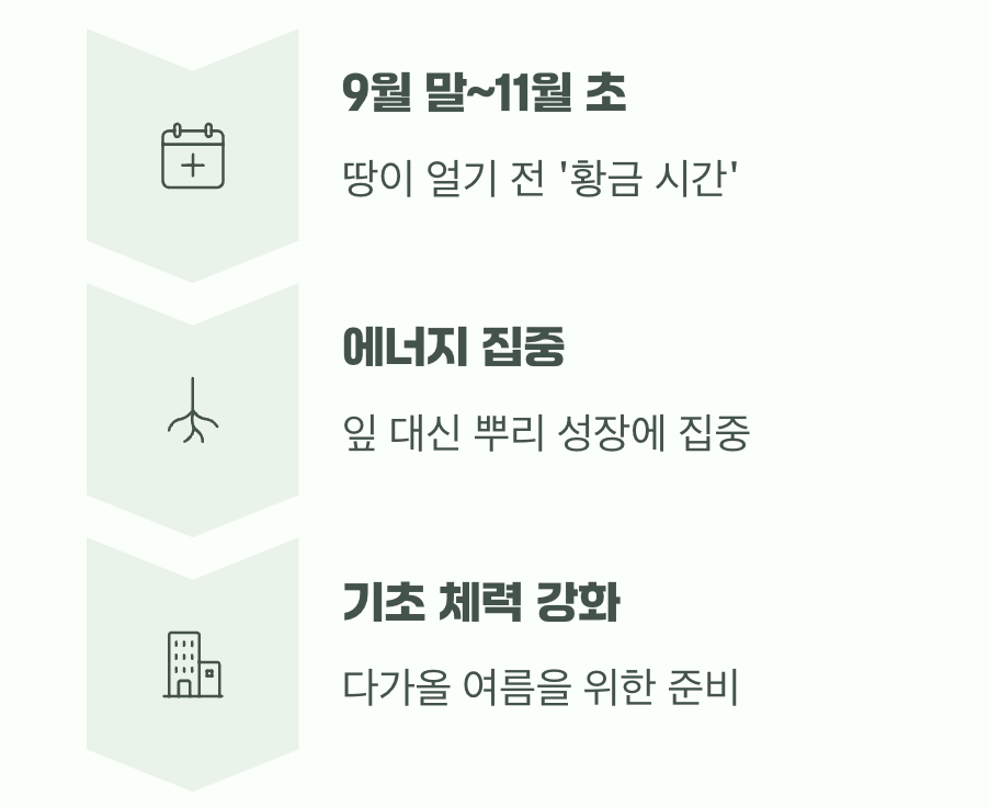 가을 식재, 숨겨진 최고의 타이밍
