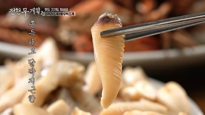 전현무계획-코끼리조개
