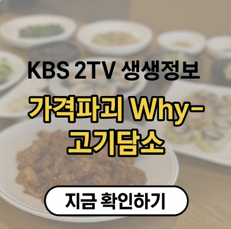 KBS 생생정보 -가격파괴Why "고기담소"