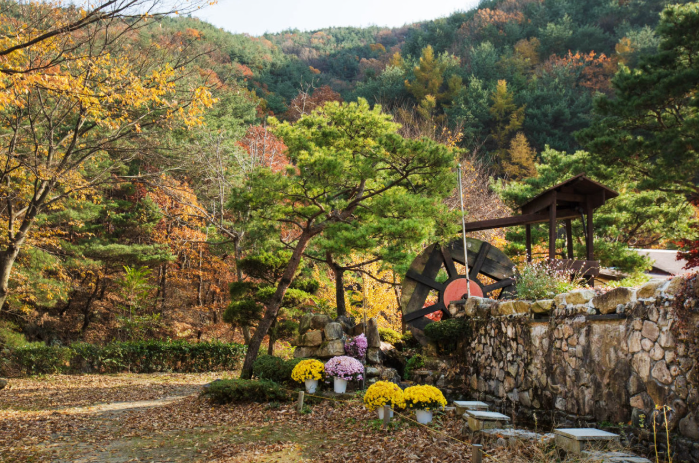 6시내고향 청도찜질방