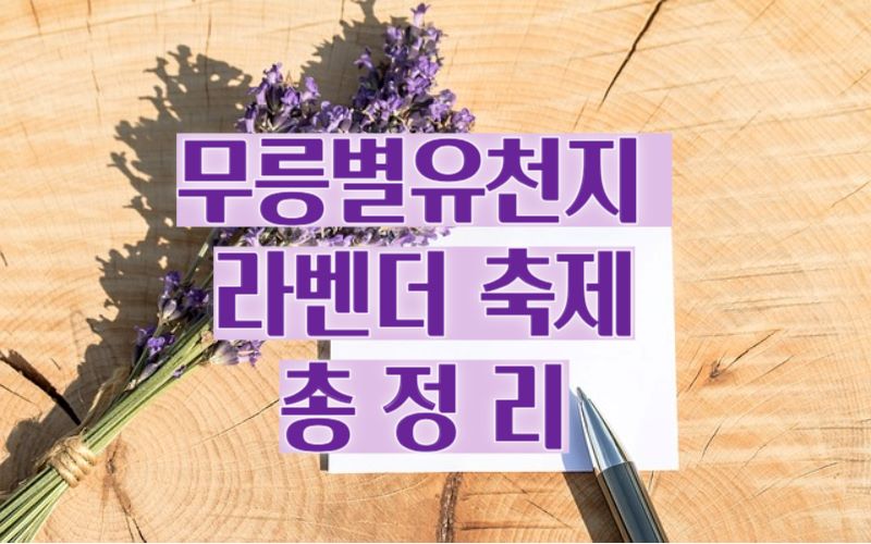 무릉별-축제-정리