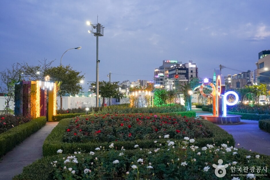 포항 영일대 장미원