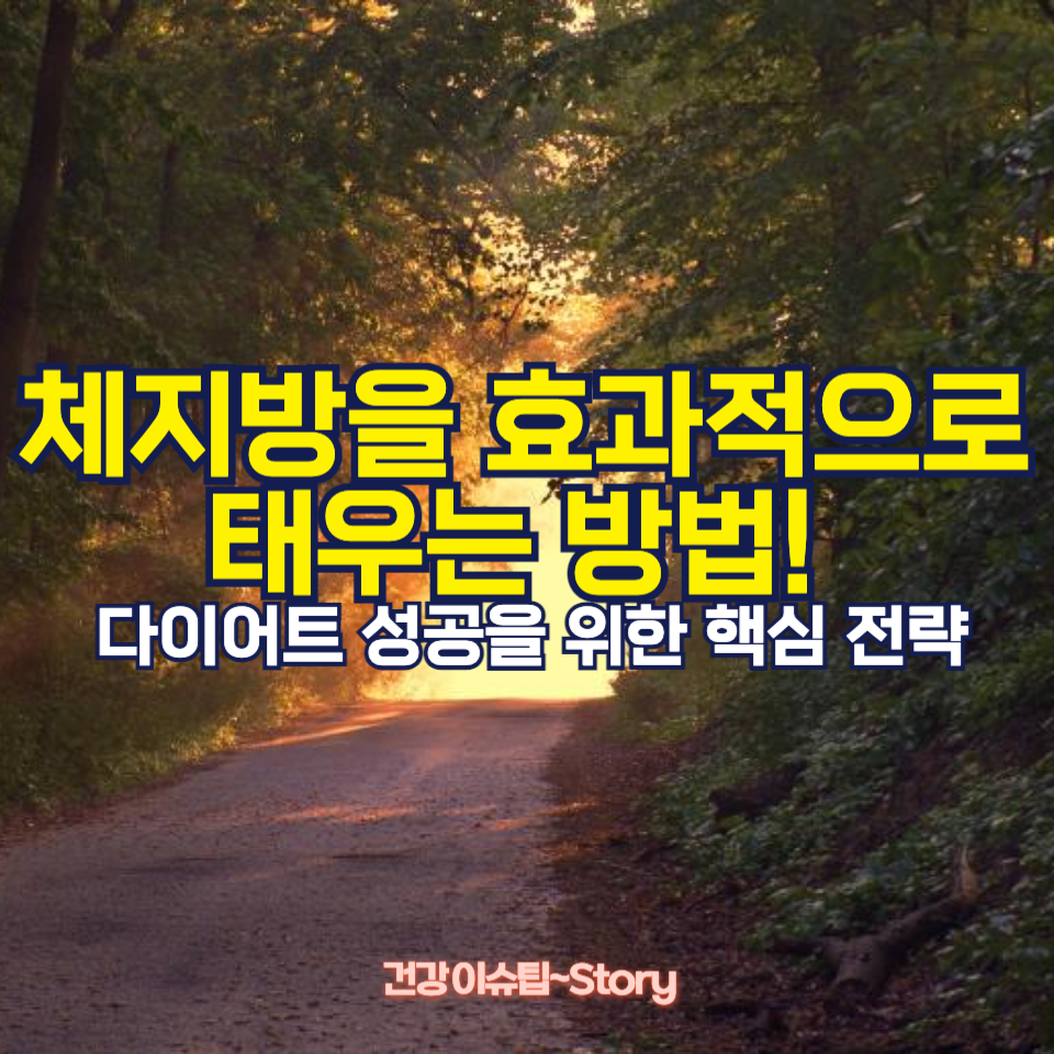 체지방 효과적으로 태우는 법!