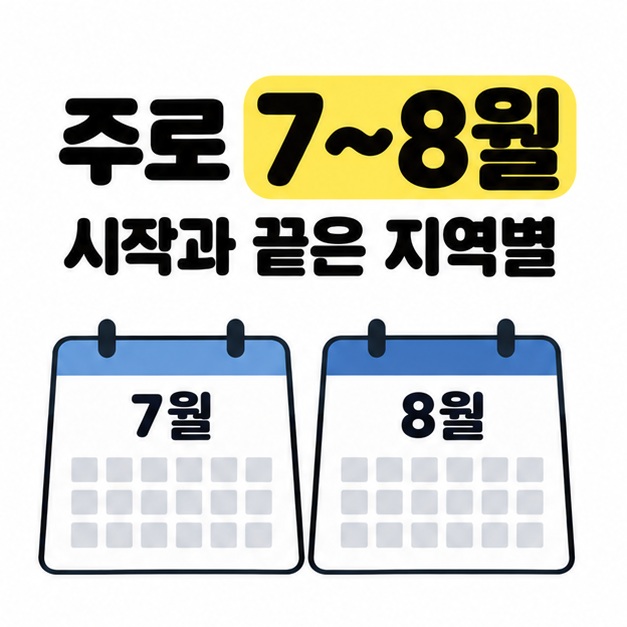 주로 7~8월에 발생하고 시작과 끝은 지역별로 다르다는 문구와 나란히 놓인 7월과 8월 달력