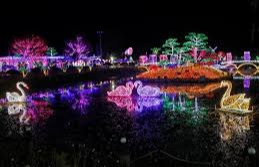 충남 겨울 명소 추천&amp;#44; 연말 분위기 가득한 빛&middot;바다&middot;성당 명소 4곳