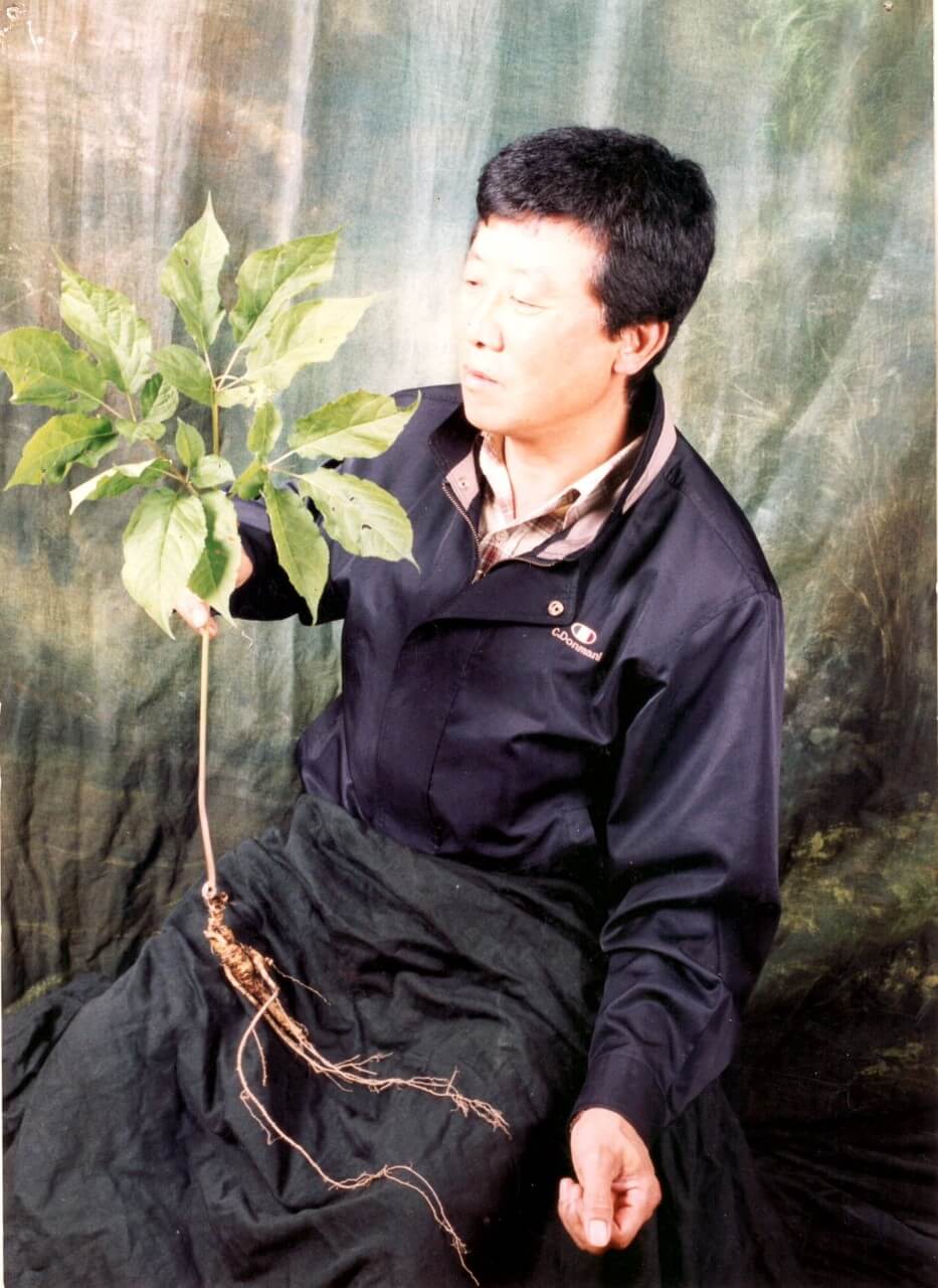 6시내고향 강원 평창 산양삼 구매방법 산삼어람