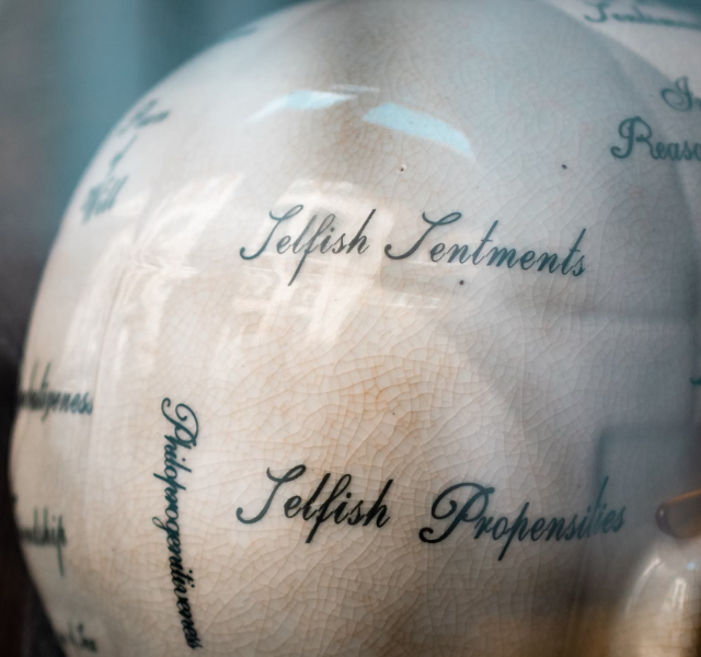 비오틴 효능 : 두피