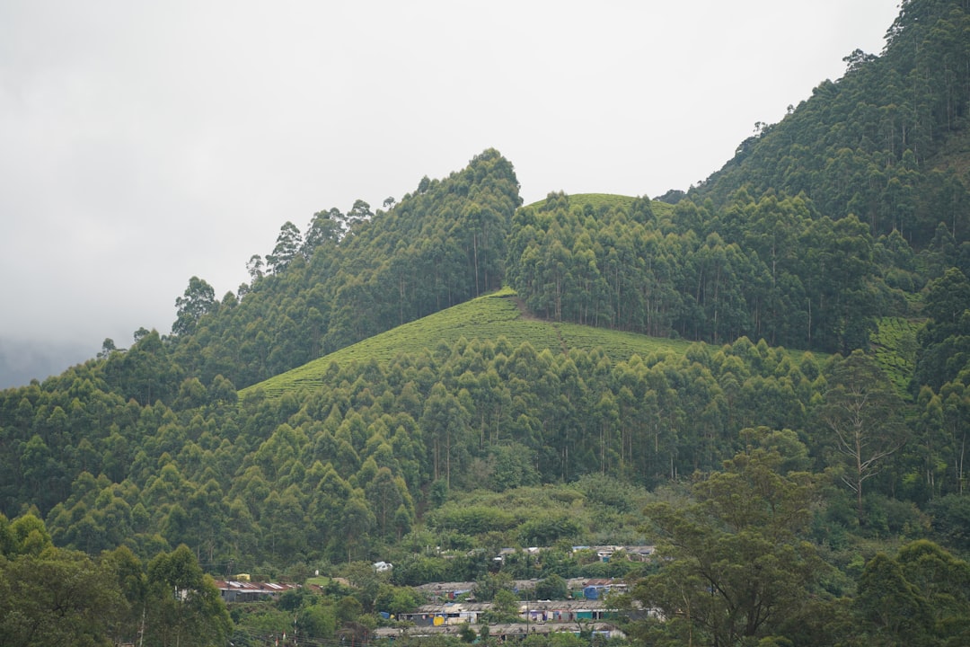 Koguryo