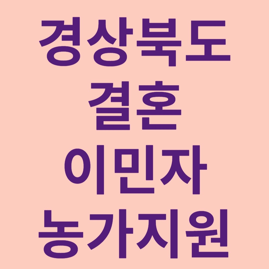 경상북도결혼이민자지원 포스터