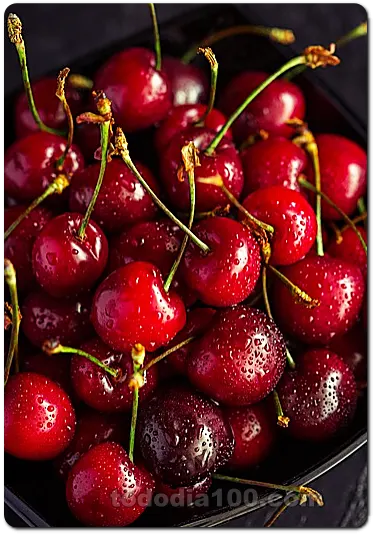 체리-달콤한체리-신체리