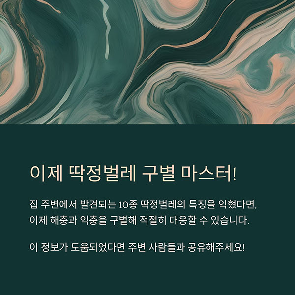 딱정벌레 종류 주요 특징 주 서식지 피해 여부