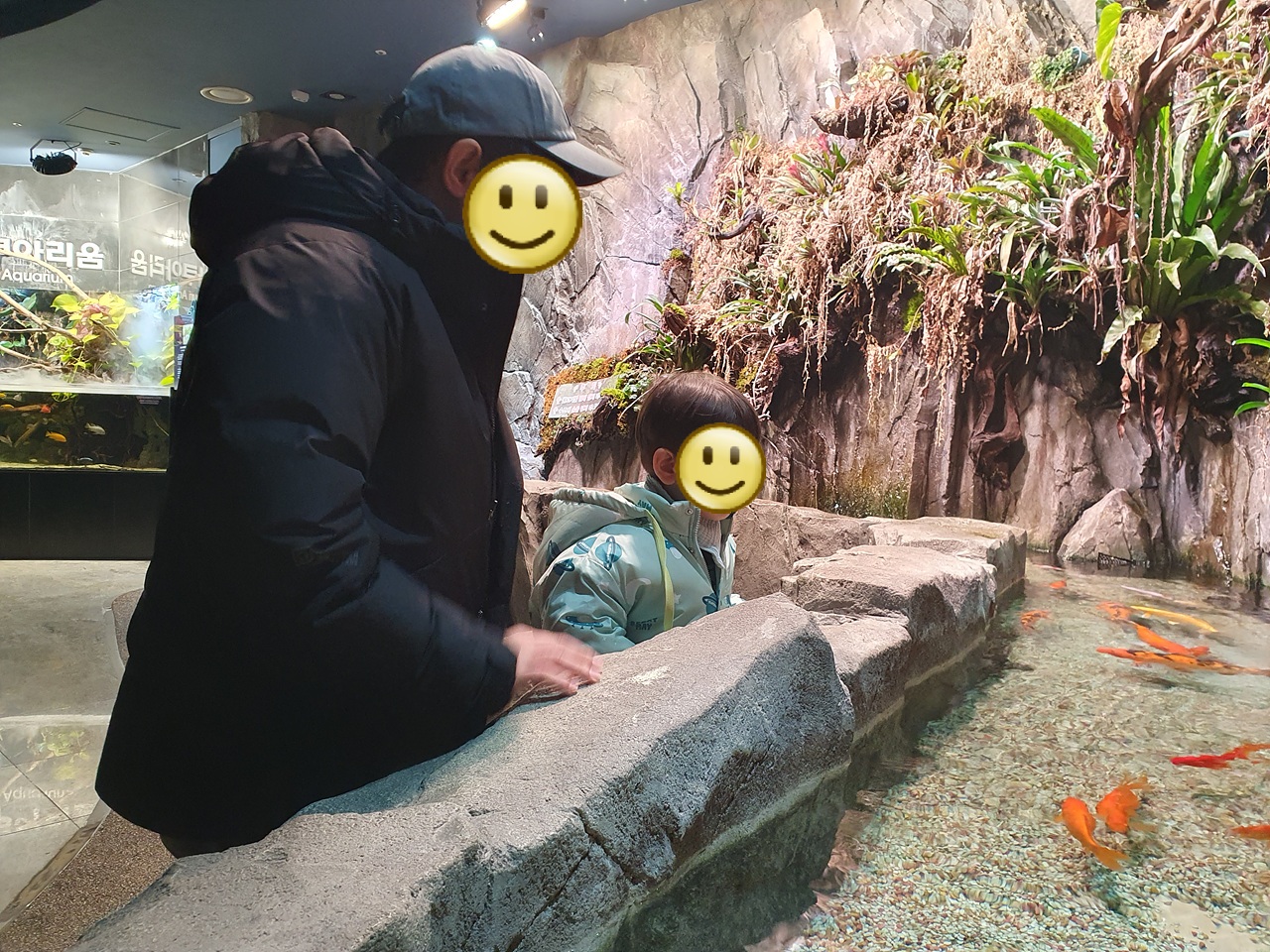 다누리아쿠아리움2