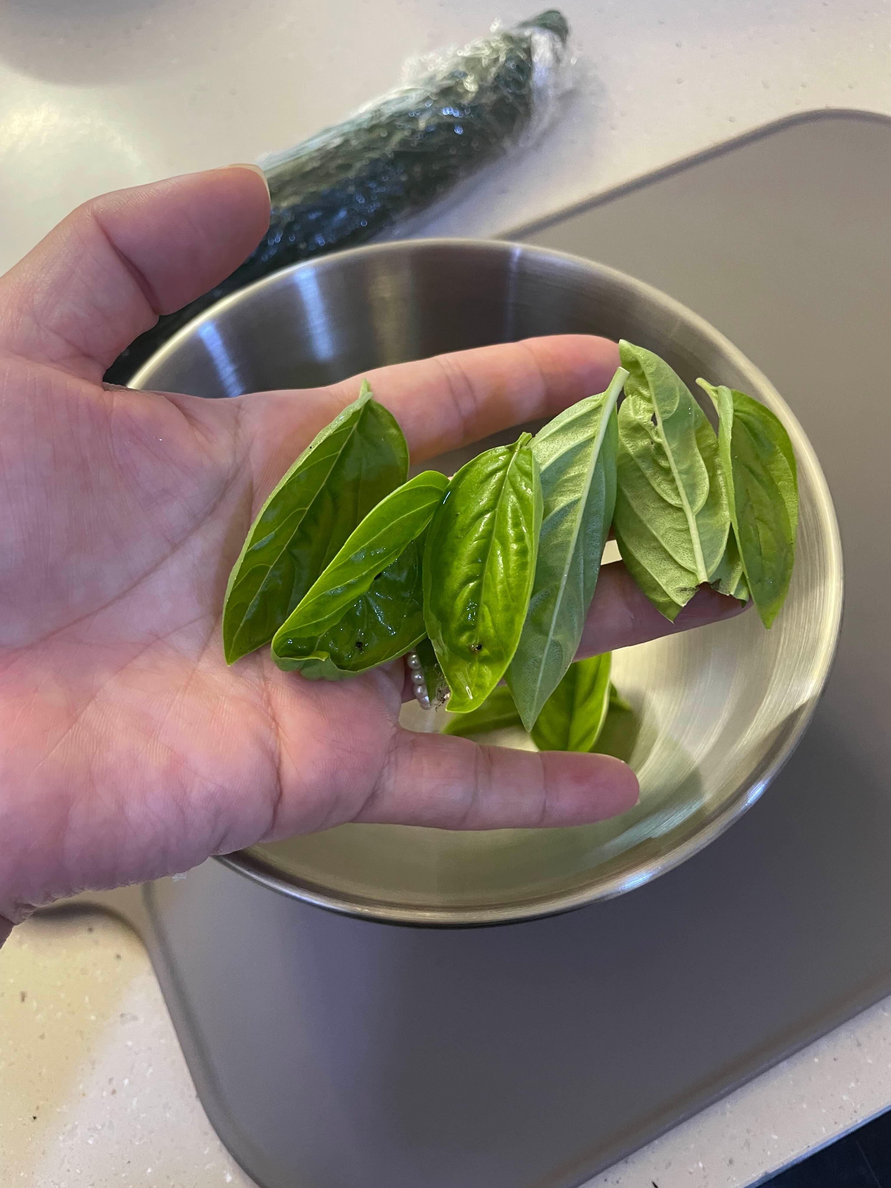 토마토 오이 마리네이드