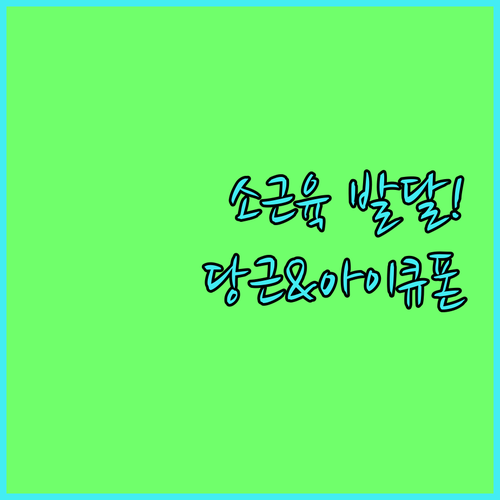 아기 소근육 발달 장난감 추천 고려베..
