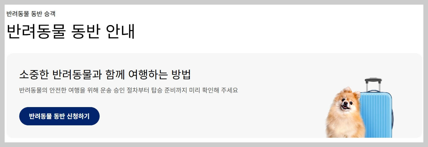 대한항공 수화물 규정, 기내 수하물, 위탁 수하물 크기와 무게 허용량 총정리!