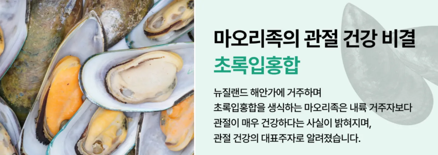 초록입홍합 생물 사진