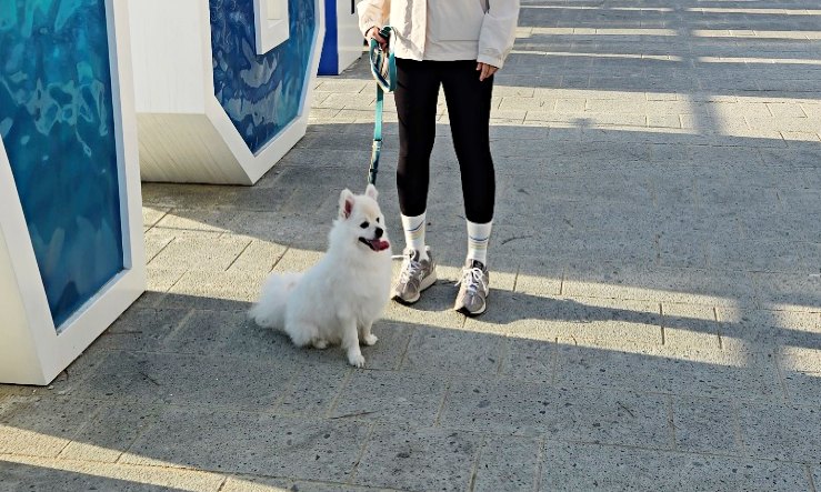 양말신고 산책