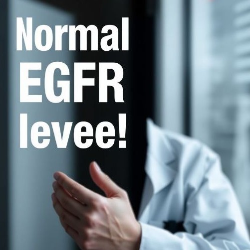 egfr 정상수치