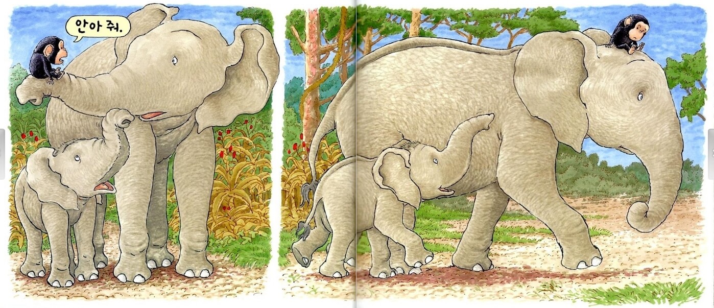 영유아 그림책 추천