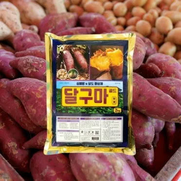 감자 수확시기 및 타이밍 저장 보관 팁 정리_8