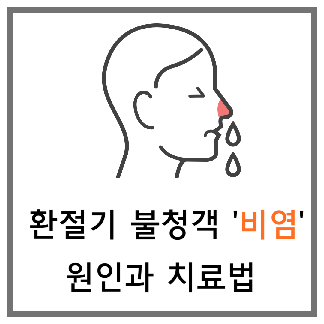 비염 원인과 치료법