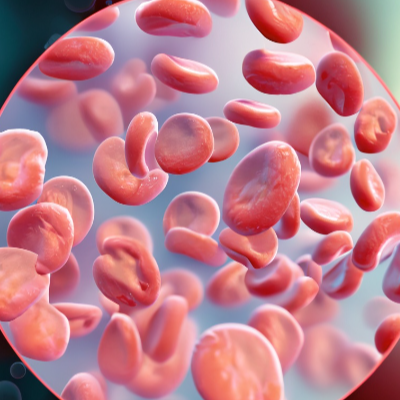 6. 당화혈색소 조절 후기