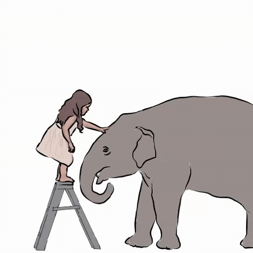 코끼리를 사랑하는 소녀 움짤