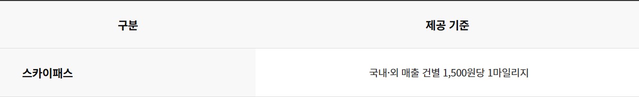 온 플래티늄 카드(스카이패스)