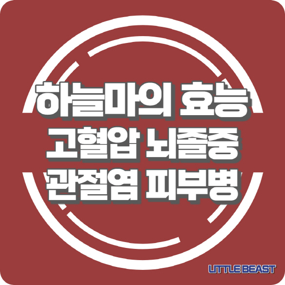 하늘마 섬네일