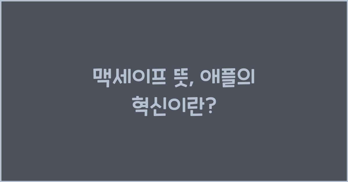 맥세이프 뜻