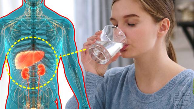 독소배출 음식 디톡스 식단